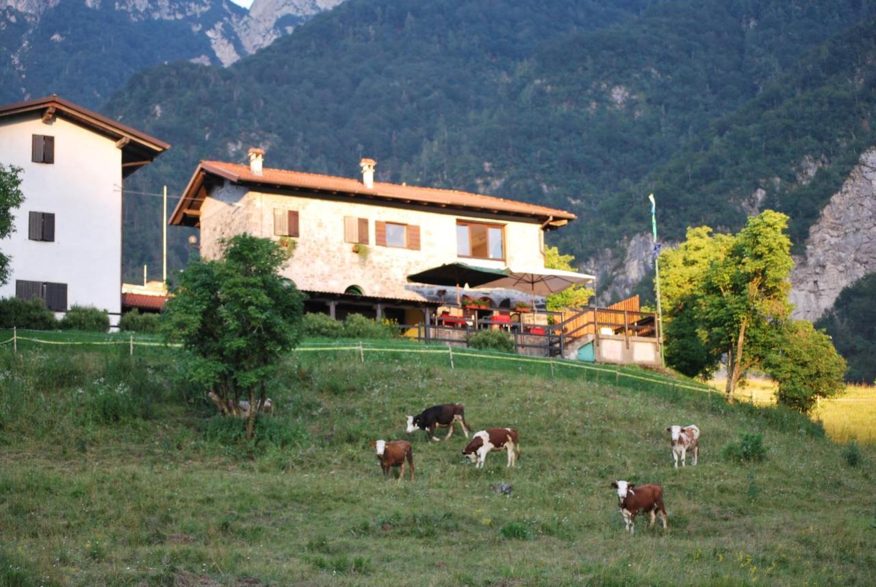 Rifugio Malga Grasia Caprizi Εξωτερικό φωτογραφία